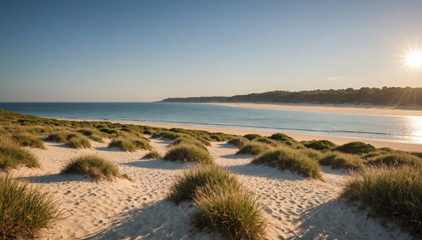 Séjour économique sur l'île de ré : vivez l'expérience du camping l'ile blanche